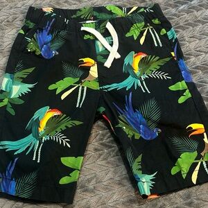 NWOT H&M X Dieter Braun Kids Tropical Parrot Print Shorts - Black and Green